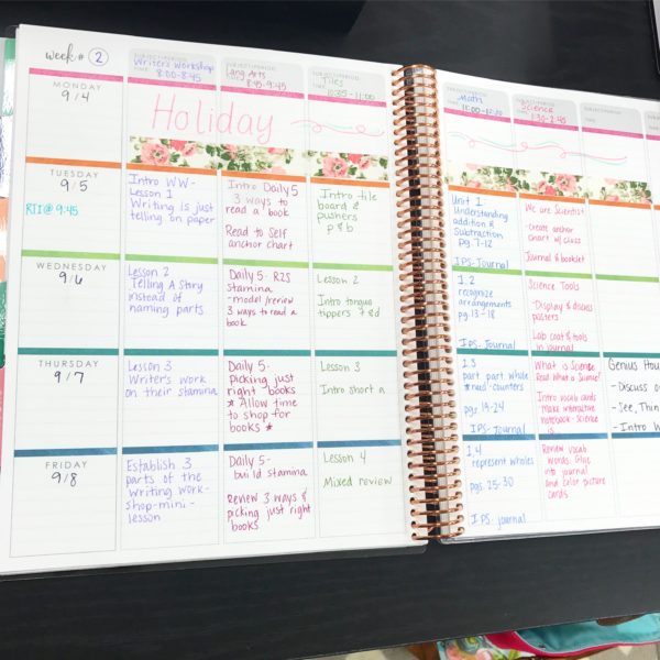 Erin Condren Teacher Planner - Mandi Moore